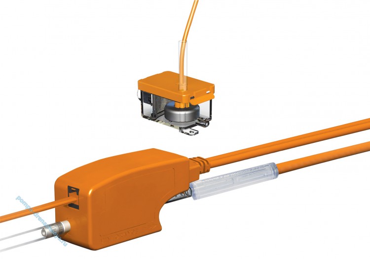 MINI ORANGE 